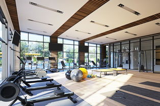 留學與投資澳洲房產(chǎn) 資產(chǎn)優(yōu)化配置的雙贏策略