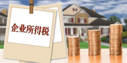 企業(yè)所得稅納稅人范疇、征稅規(guī)定及會計處理