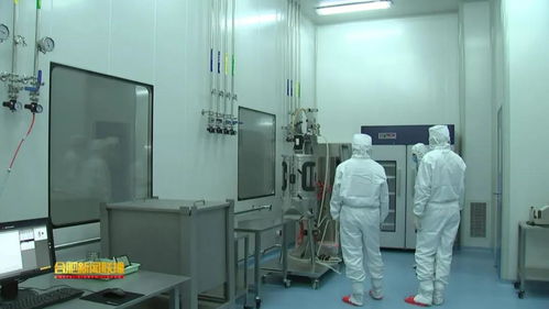 安科生物 以研發(fā)為翼，驅(qū)動(dòng)創(chuàng)新未來(lái)的安徽生物科技領(lǐng)軍者